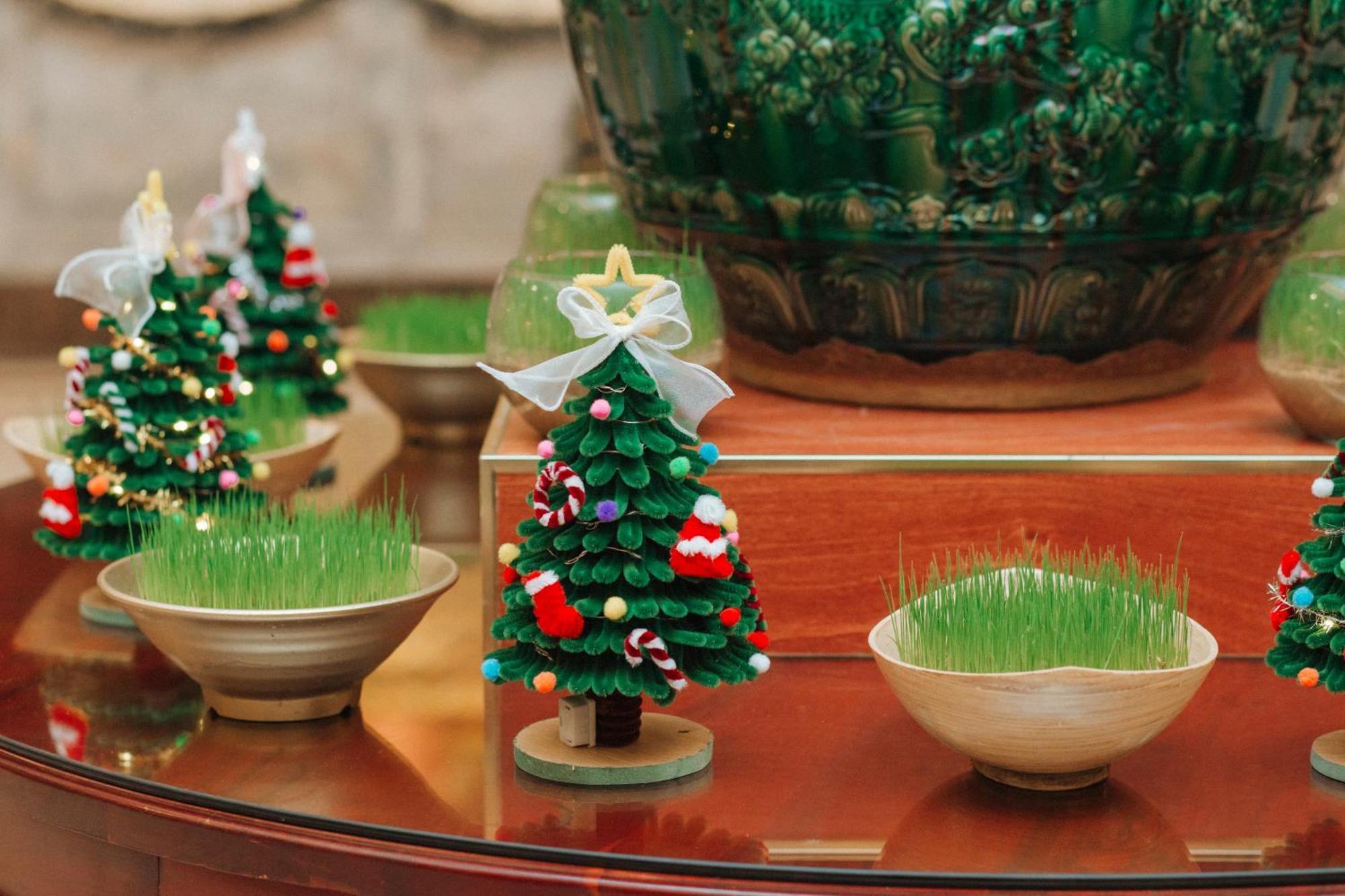 Dlg Hotel Danang Exterior foto Wheatgrass grown in a bowl